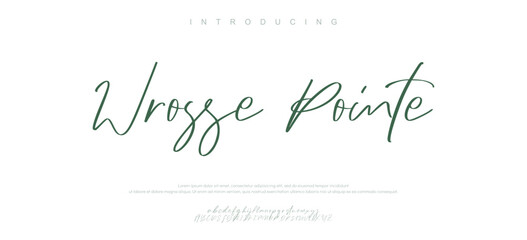 signature Font Calligraphy Logotype Script Brush Font Type Font lettering handwritten