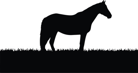 Vector silhouette horse grazing in grass field illustration