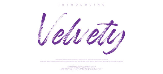 Hand drawn vector alphabet. Modern monoline signature script font. Elegant Signature Font. Best Alphabet Beautiful Calligraphy Signature Font lettering handwritten