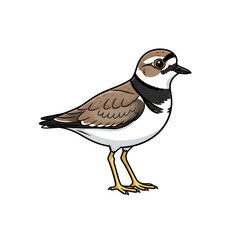 Obraz premium Cartoon Plovers: Charming Brown And White Wading Bird Illustration For Wildlife And Nature Projects