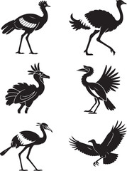 Obraz premium Diverse bird silhouettes for creative projects