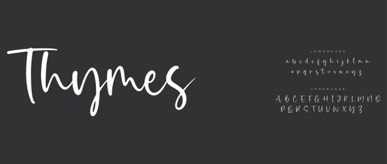 modern luxury small alphabet letter logo design
