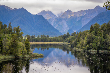 Naklejka premium beautiful nature walking tract people can see big trees ,frens ,moss ,reflection lake ,group of duck, animals , colorful mushroom and fox glacier view at lake Matheson South Island New Zealand 