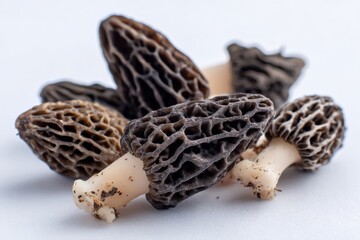 Obraz premium Cone-shaped mushrooms with textured surface and light stems on bright backdrop, showcasing intricate details for nature enthusiasts and culinary creatives. Perfect for foraging or cooking themes