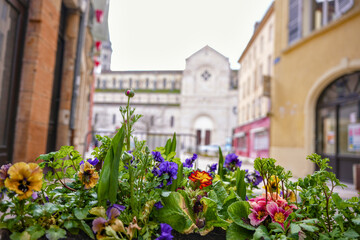 Colorful spring plants in old town with historic church in background
