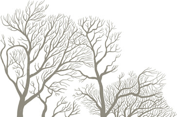 Bare tree branches illustration, winter season silhouette, nature art background, leafless trees design, minimalist forest graphic, natural pattern for decor