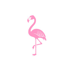 Fototapeta premium Beautiful bird vector. Pink flamingo 