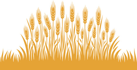 Colorful Barley field horizontal landscape border element vector illustration isolated on a white background