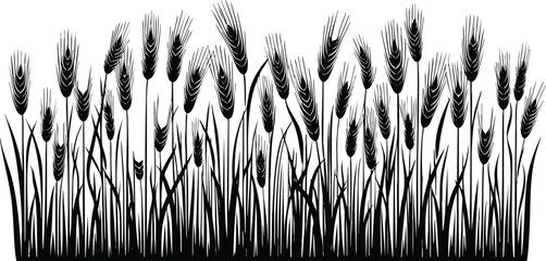 Barley field horizontal landscape border element vector illustration isolated on a white background