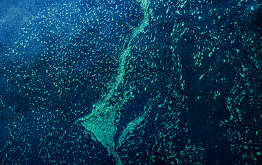 Abstract pattern of glowing bioluminescence creating a vibrant texture in dark blue water, showing an illuminated plankton bloom spreading