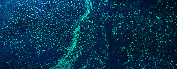 Glowing green particles creating an abstract organic texture and pattern on a dark blue background, resembling bioluminescent algae or microscopic life form spreading