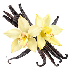 Vibrant overhead shot of vanilla orchids and pods, arranged artfully