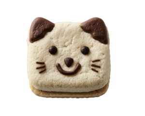 Cute cat face biscuit with chocolate detail, happy smiling cookie snack. This delicious and fun isolated dessert or sweet treat perfect single food item for kids