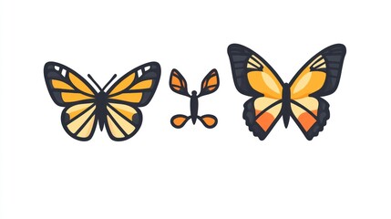 Three butterflies in various stages.  Different butterfly types