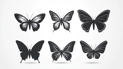 Silhouettes of various butterflies