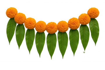 Marigold flowers and mango leaves toran decorating for indian festivals like diwali and ugadi, transparent background