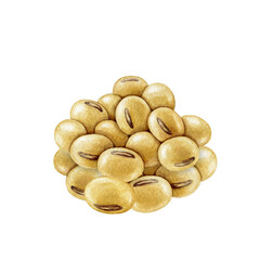 Soybean pile element isolated on white background. Hand drawn realistic watercolor illustration. Close up legume dry soya bean group natural organic vegan source of protein