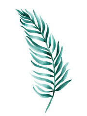 Watercolor painted leaf tropical botanical illustration design