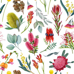 Australia native flora elements seamless pattern. Hand drawn waratah flower, banksia, golden wattle, eucalyptus leaves watercolor illustrations. Australian flowers elements on white background