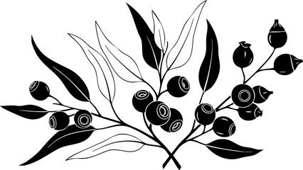 Elegant eucalyptus branches with berries, a stunning botanical illustration for designs, invitations, and nature-inspired projects with a modern touch © Artesian Edge