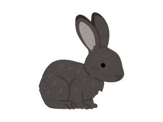  rabbit isolated on white