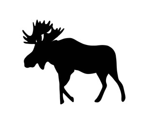 Moose Silhouette Vector Illustration