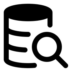 Database Search Icon
