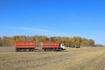 Wheat harvest in the Altai Territory of Russia