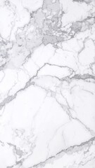 Naklejka premium White marble surface showing gray veining and natural stone texture