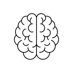 Outline drawing of the brain on transparent background