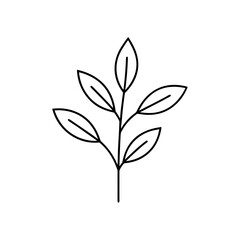 Simple botanical leaf outline on transparent background