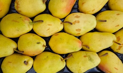 Images of various fruits. Photos of pears.