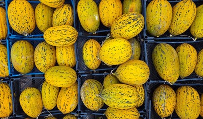 Various fruits and vegetables. Photos of melons.
