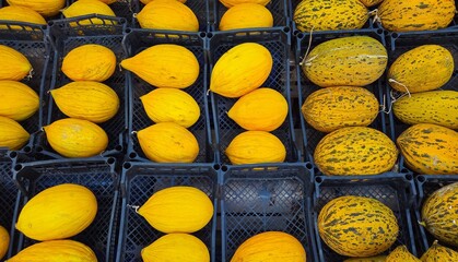 Various fruits and vegetables. Photos of melons.