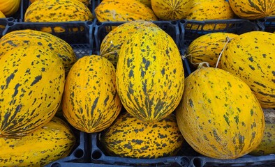 Various fruits and vegetables. Photos of melons.