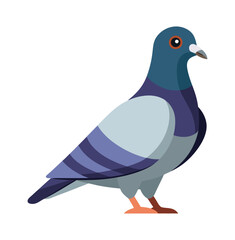 Vector Illustration of  Wildlife Pigeon