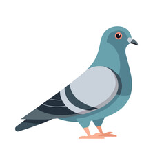 Vector Illustration of Pigeon