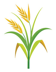 Rice or Wheat Stalks EPS Vector Design