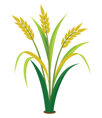Rice or Wheat Stalks EPS Vector Design