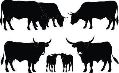 Silhouette vector illustration of cows, bulls and calves in herd, domestic farm animals, livestock cattle design for agriculture, rural countryside concept