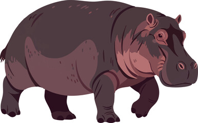 Hippo Walking Detailed Animal Vector Isolated on White Background Vector Illustration