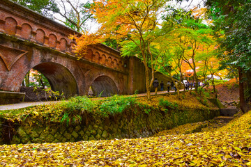 秋の日本、歴史を感じる都、京都の紅葉は美しい