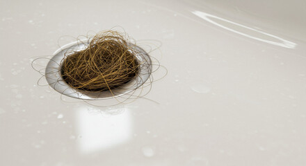 Clogged hair in bathtub drain, hygiene problem and bathroom maintenance issue with blocked water flow