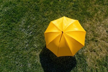 Yellow umbrella on grassy field strewn with small white flowers cast shadow