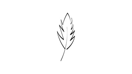 feather isolated on a white background