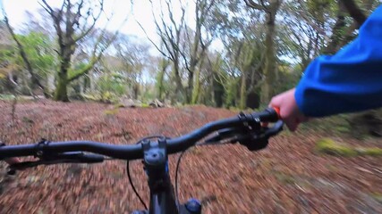 POV mountain biking in Barna Woods Galway Ireland, extreme sports adventure, forest trail cycling, outdoor recreation, nature fitness lifestyle footage.