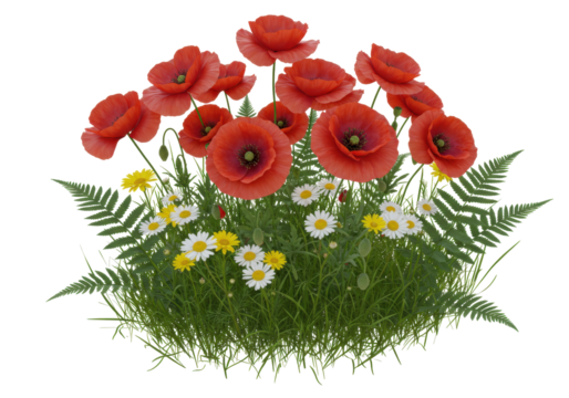 Isolated bunch of red poppies with chamomile, yellow daisies and ferns on grass patch