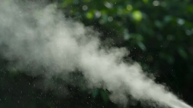 Wispy mist or steam drifts across blurred green foliage in soft daylight.