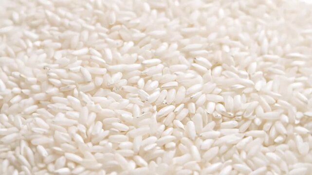 Closeup of uncooked white rice grains a staple food ingredient.