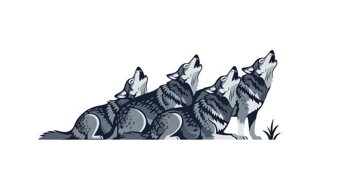 A pack of wolves howling together in harmony.